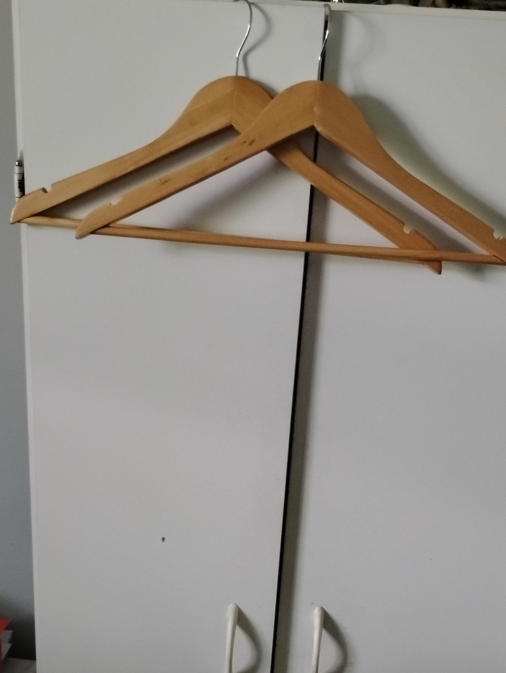 Wooden Unisex Clothing Hanger - Neutral Beige Set Of 12